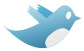 10.000 Seguidores Twitter