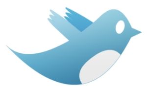 500 Seguidores Twitter